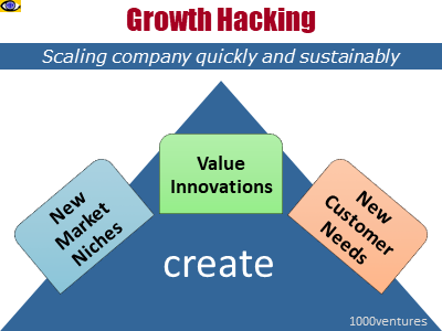 Growth Hacking Strategies