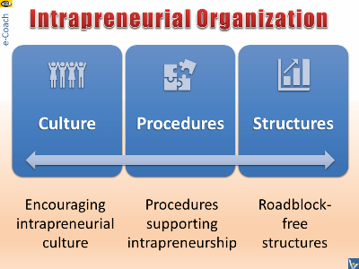 Intrapreneurial Organization