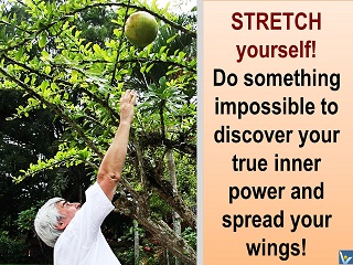 Stretch Yourself